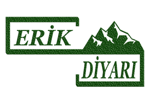 Erik diyari logo.png (74 KB)